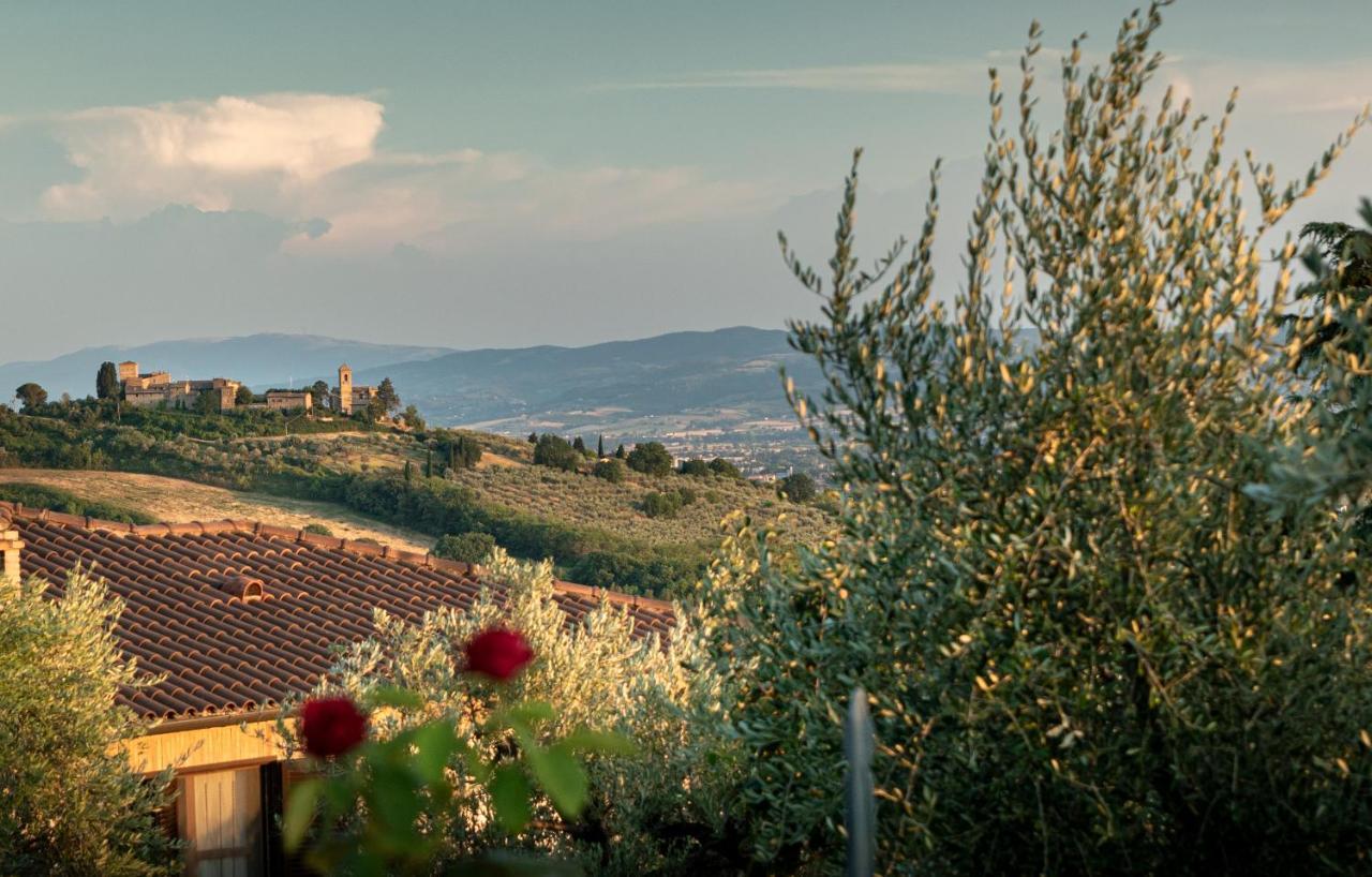Agriturismo La Rocca Assisi Petrignano ภายนอก รูปภาพ